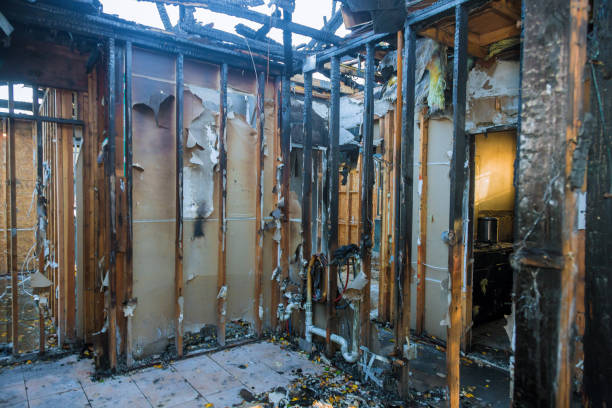 Professional Smoke Damage Removal technician working in Washington, PA